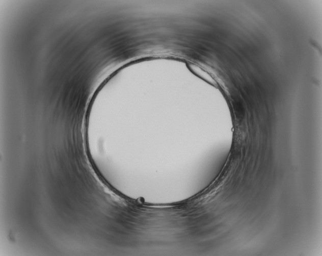 X0000096711343200803041333