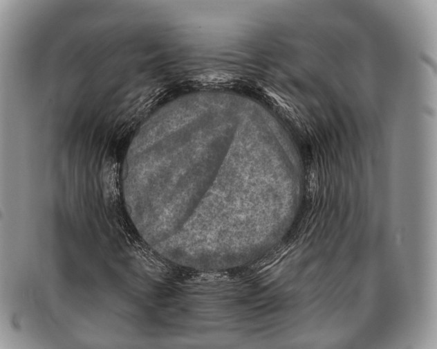 X0000096711346200803041333