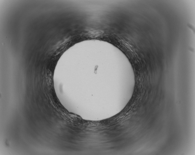 X0000096711349200803041333