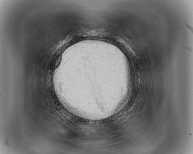 X0000096711350200803041333