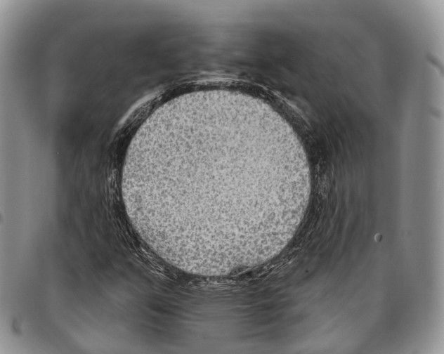 X0000096711351200803041333