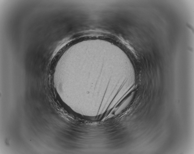 X0000096711352200803041333