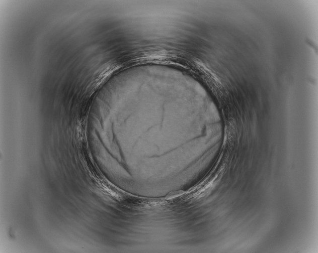 X0000096711353200803041333