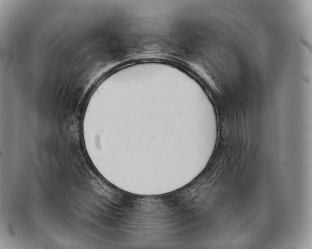 X0000096711356200803041333