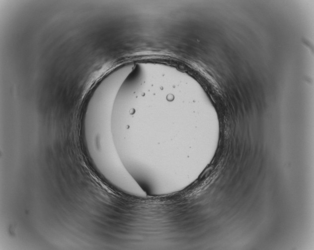 X0000096711357200803041333