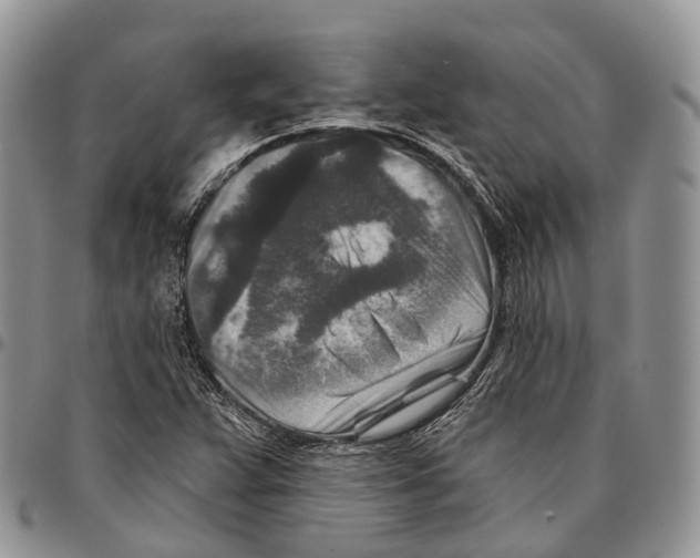 X0000096711359200803041332