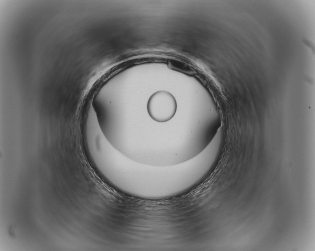 X0000096711360200803041332