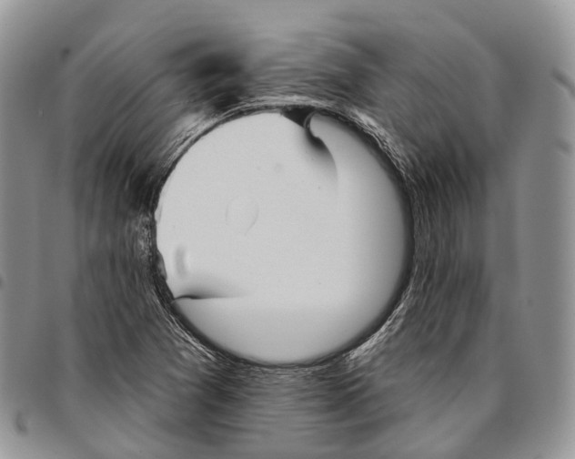 X0000096711361200803041332