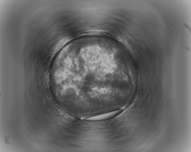 X0000096711362200803041332