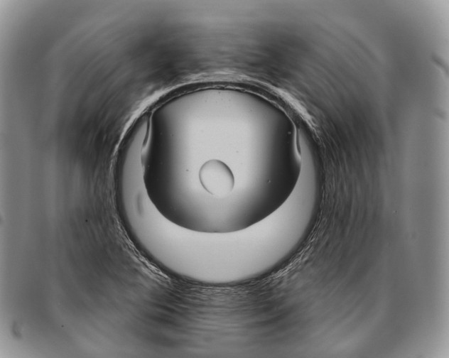 X0000096711364200803041332