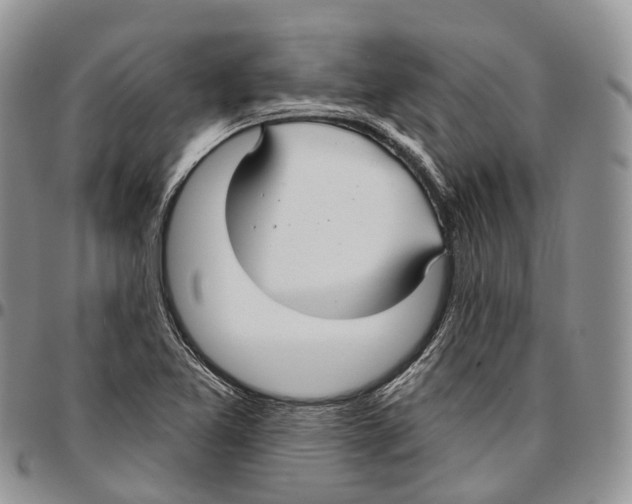 X0000096711365200803041332