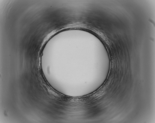 X0000096711366200803041332