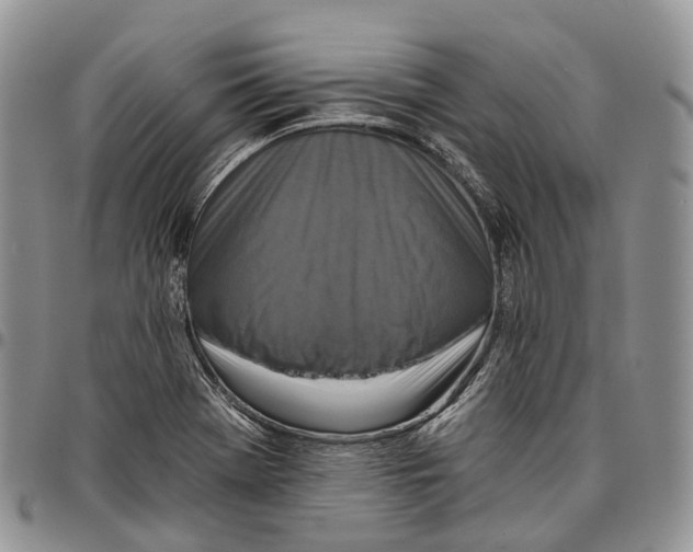 X0000096711369200803041332