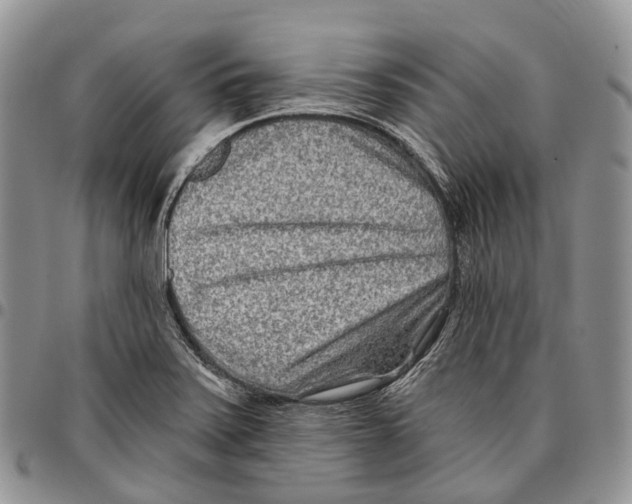 X0000096711371200803041332