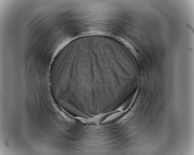 X0000096711373200803041332