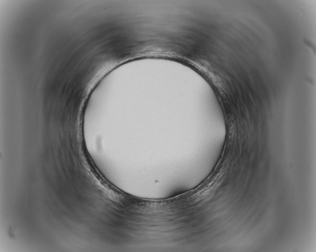 X0000096711375200803041332