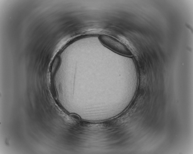 X0000096711376200803041332