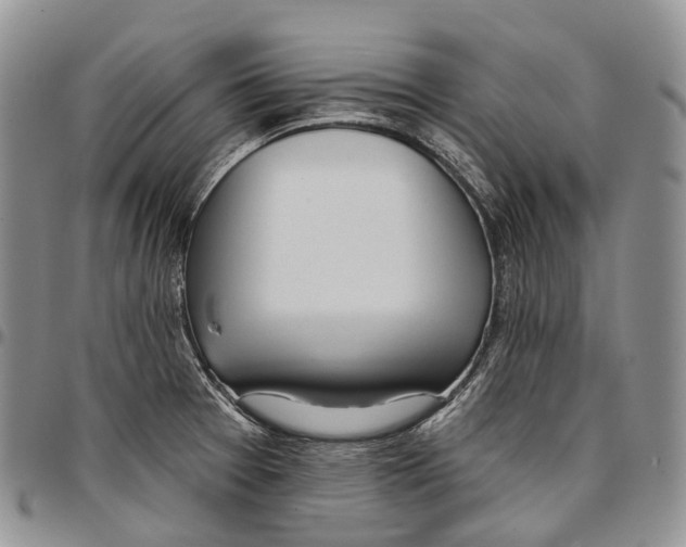 X0000096711377200803041332