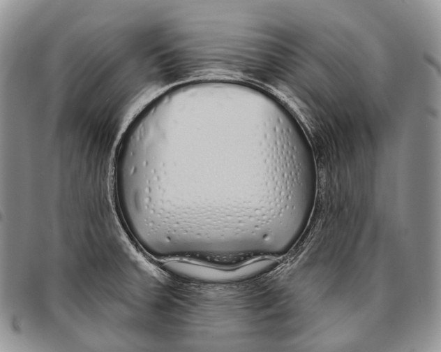 X0000096711379200803041332