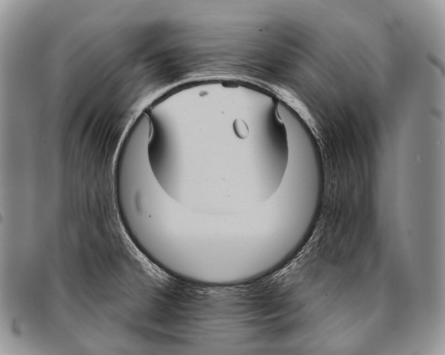 X0000096711380200803041332