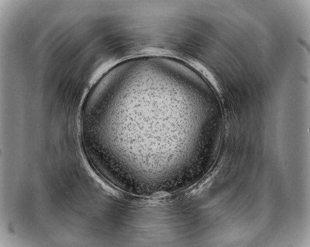 X0000096711381200803041332