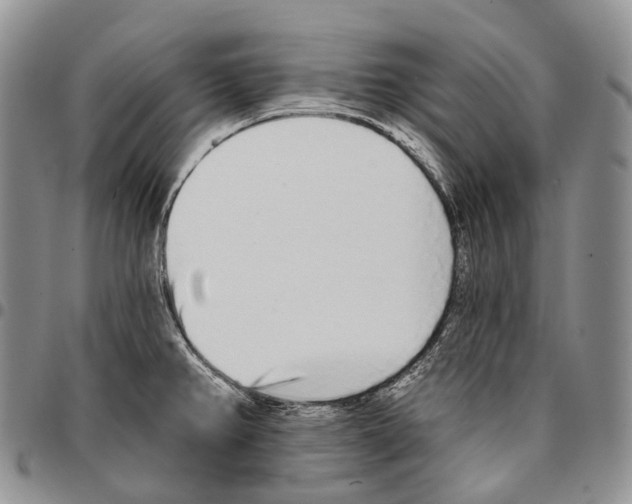 X0000096711382200803041332