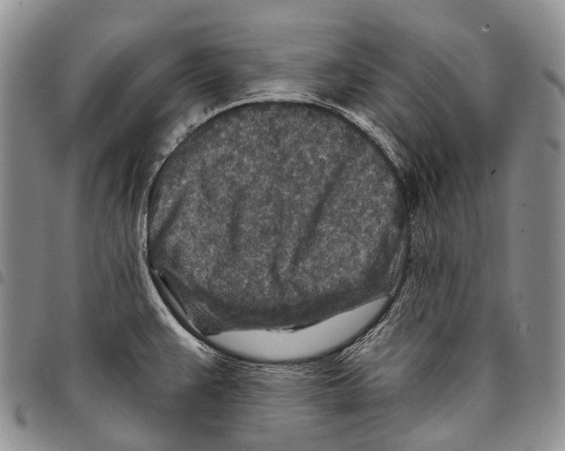 X0000096711383200803041332