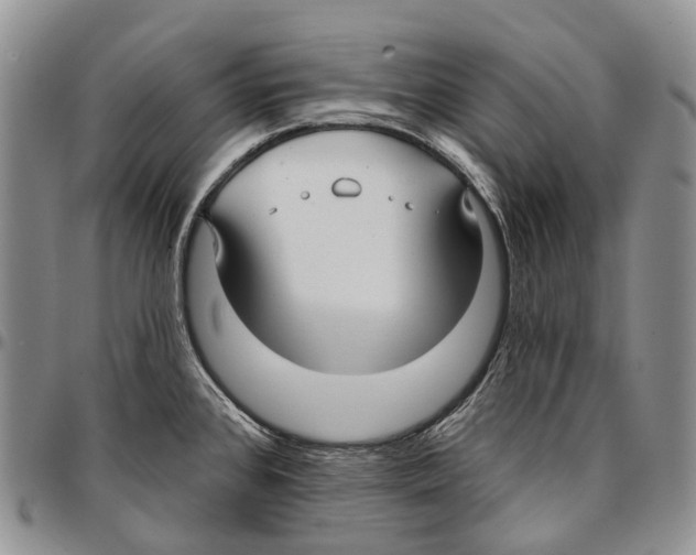 X0000096711384200803041332