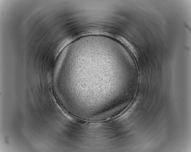 X0000096711385200803041332