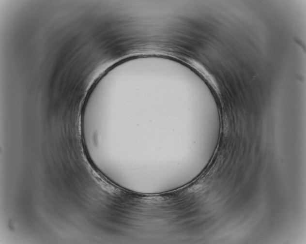 X0000096711388200803041332