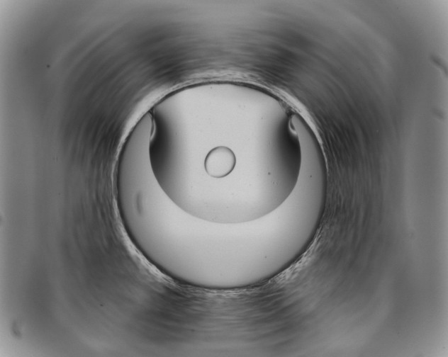 X0000096711389200803041332