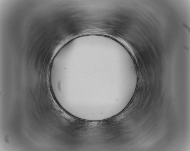 X0000096711390200803041332