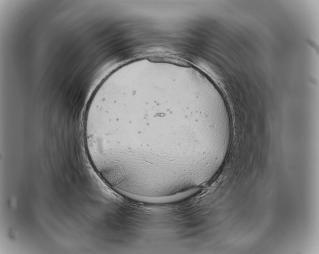 X0000096711392200803041332