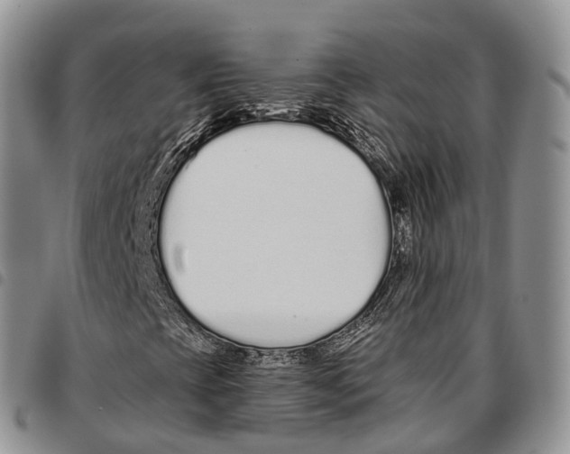 X0000096711393200803041332