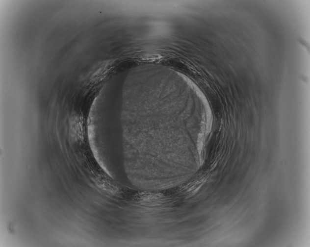 X0000096711394200803041332