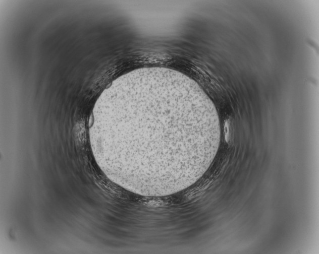 X0000096711395200803041332