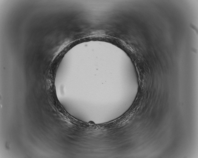 X0000096711400200803041332