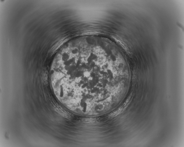 X0000096711401200803041332