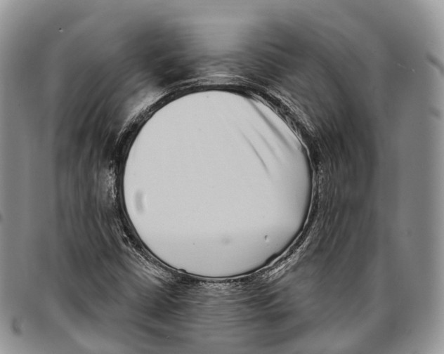 X0000096711402200803041332