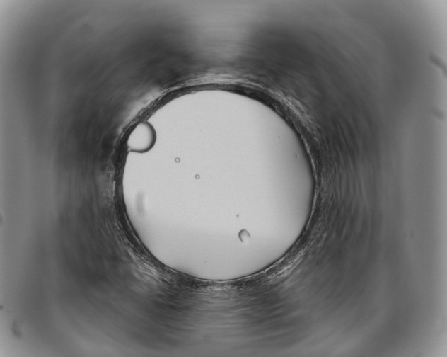 X0000096711406200803041332