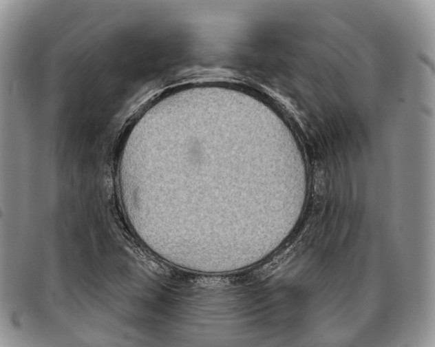 X0000096711407200803041332