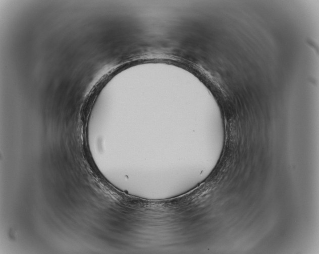 X0000096711408200803041332