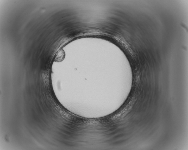 X0000096711409200803041332