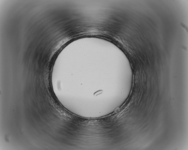 X0000096711410200803041332