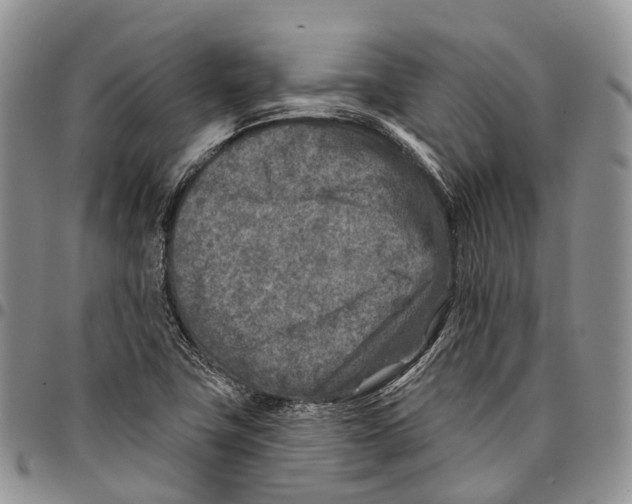 X0000096711411200803041332