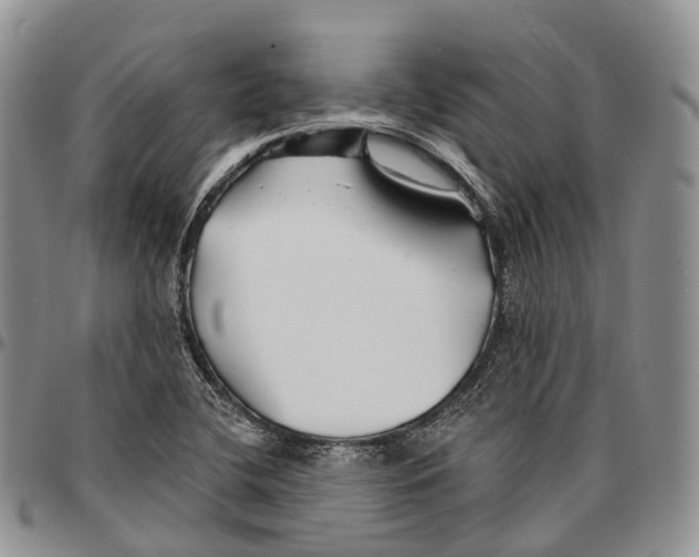 X0000096711412200803041332