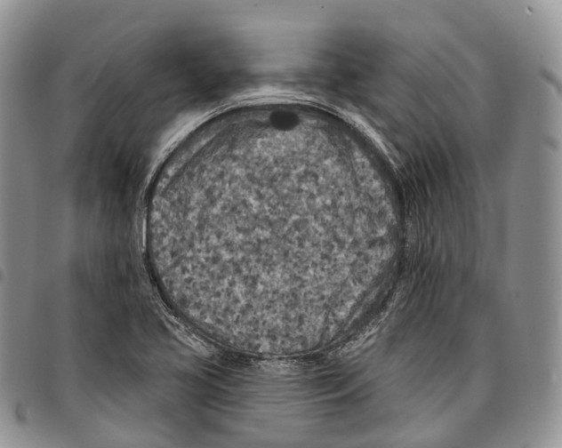 X0000096711413200803041332