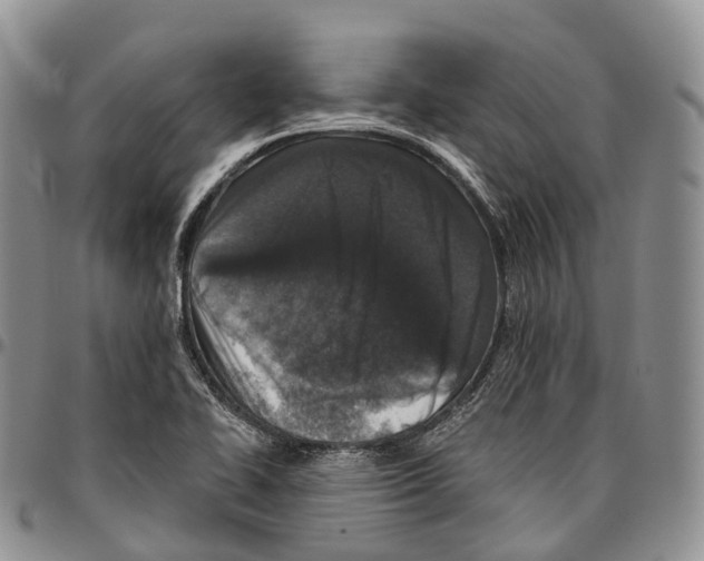 X0000096711414200803041332