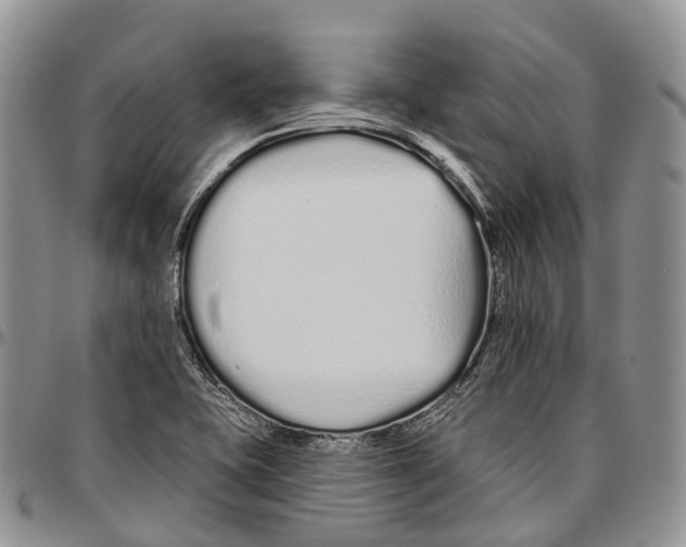 X0000096711415200803041332