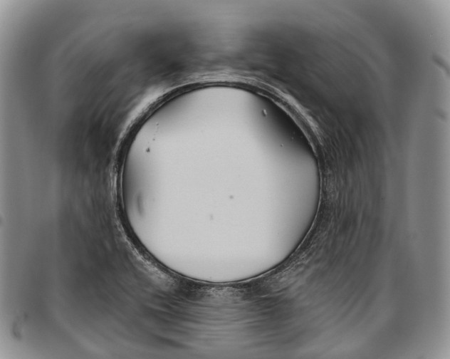 X0000096711416200803041332